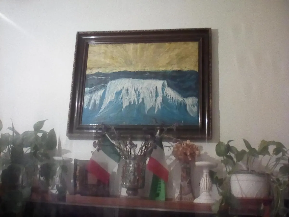 Mar & Fantasy Hotel Querceta Guest house